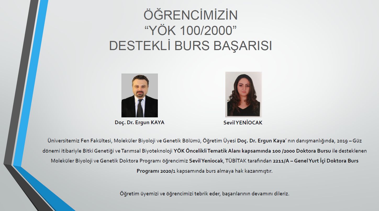 Bilimsel Arastirma Projeleri Koordinasyon Birimi Mugla Sitki Kocman Universitesi Ogrencimizin Yok 100 2000 Destekli Burs Basarisi